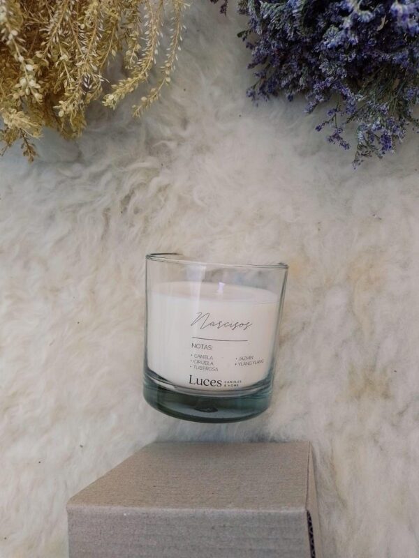Velas de cera de soja "Línea Simply" - Imagen 7