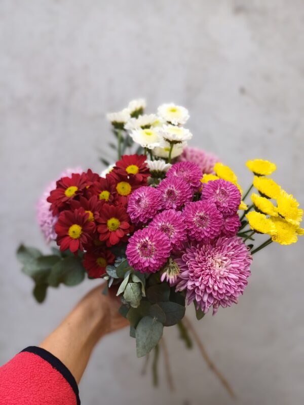 Ramo de San Vicentes y flores de estación - Imagen 10