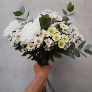 Ramo de San Vicentes y flores de estación COLOR BLANCO