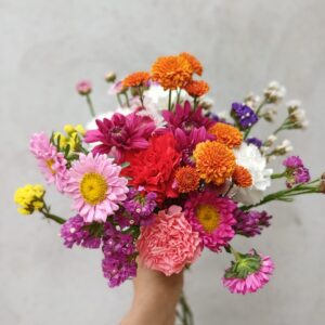 Ramo delicado con claveles y flores de estación